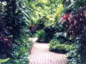 Flamboyan hotel grounds